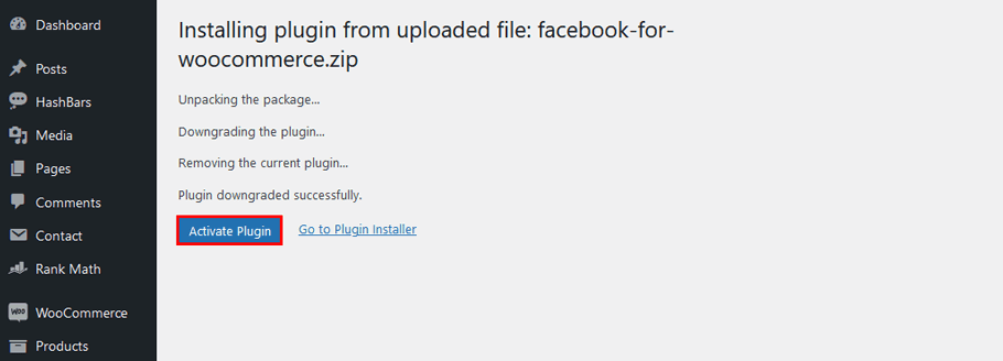 Click Activate Plugin