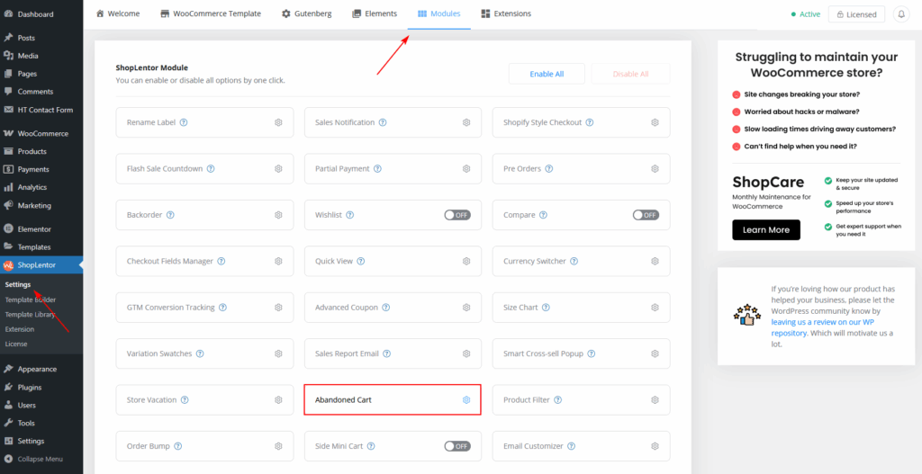 Click on Abandoned Cart Module