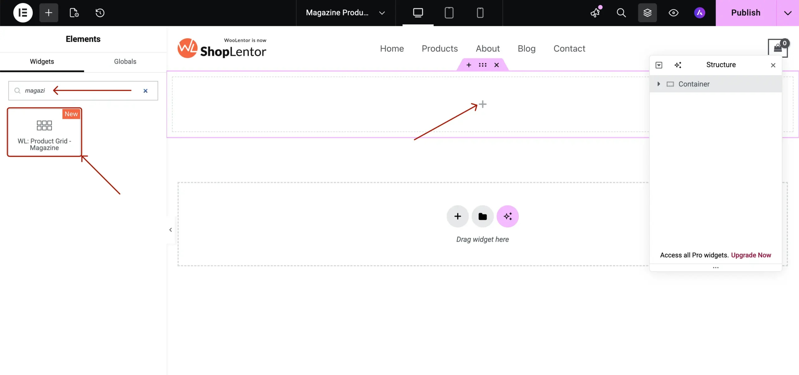 Search Magazine Widget