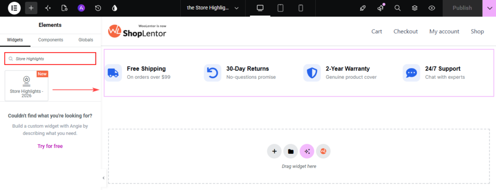 search store widget